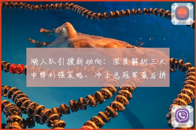 湖人队引援新动向：深度解析三大中锋补强策略，冲击总冠军最后拼图