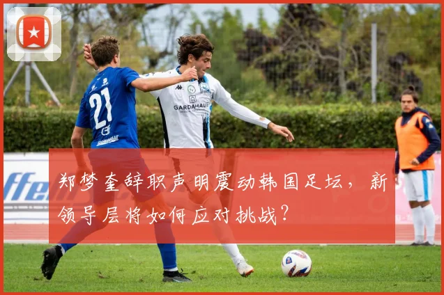 郑梦奎辞职声明震动韩国足坛，新领导层将如何应对挑战？
